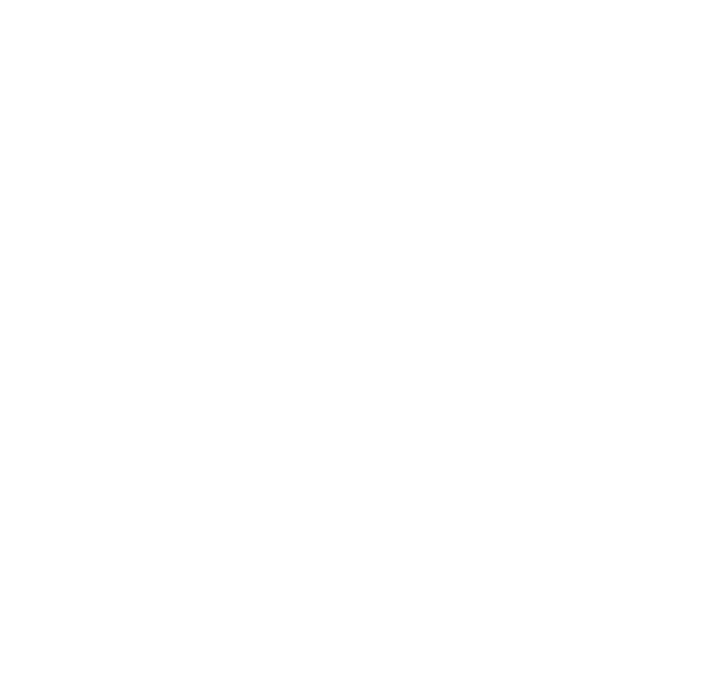 brain